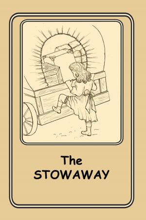 Cover of the book The Stowaway by Cynthia Wester