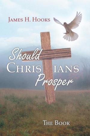 Cover of the book Should Christians Prosper? by Asham Sedrak