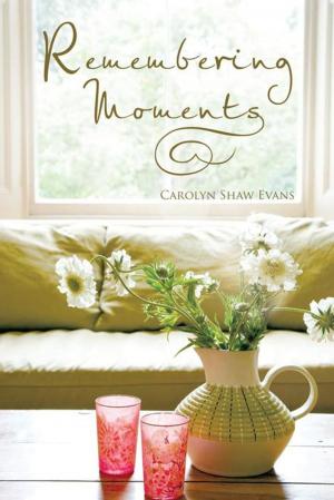 Cover of the book Remembering Moments by C. Dunford