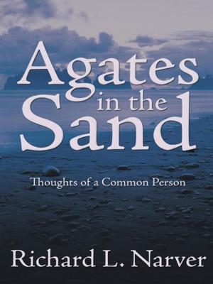 Cover of the book Agates in the Sand by Laura Donelan