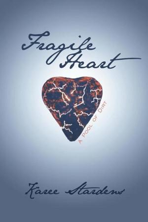 Cover of the book Fragile Heart by Robert Weinhofer