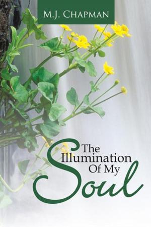Cover of the book The Illumination of My Soul by Betty J. Motsenbocker