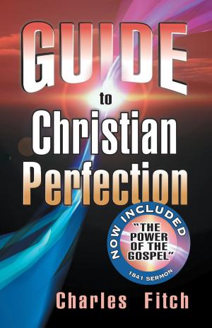 Cover of the book Guide to Christian Perfection by Angel J. Storm, Ph.D.