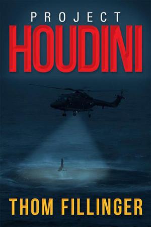 Cover of the book Project Houdini by B.M. Hodges