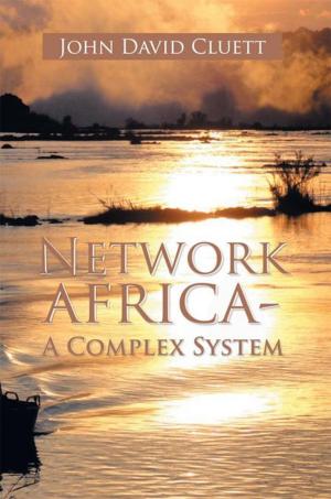 Cover of the book Network Africa-A Complex System by Kim Ward