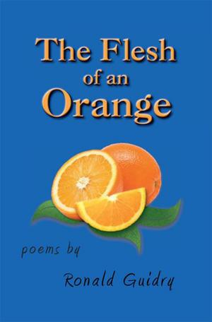 Cover of the book The Flesh of an Orange by Patsy Barnes