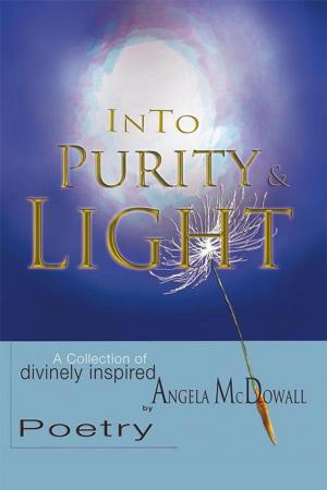 Cover of the book Into Purity & Light by Apostle Daniel Lubi Tshehla
