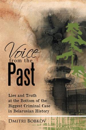 Cover of the book Voice from the Past by Ruth Martinez