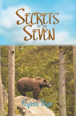 Book cover of Secrets of the Seven