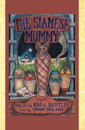 Cover of the book The Siamese Mummy by Denise Cash