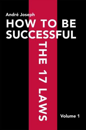 bigCover of the book How to Be Successful the 17 Laws by 