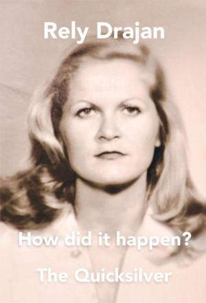 Cover of the book How Did It Happen? by S. J. Brown