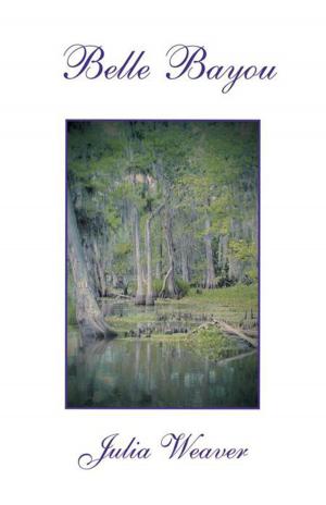 Cover of the book Belle Bayou by Adam Tarvin
