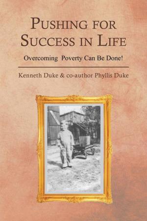 bigCover of the book Pushing for Success in Life by 