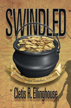 Cover of the book Swindled by David John Gustafson