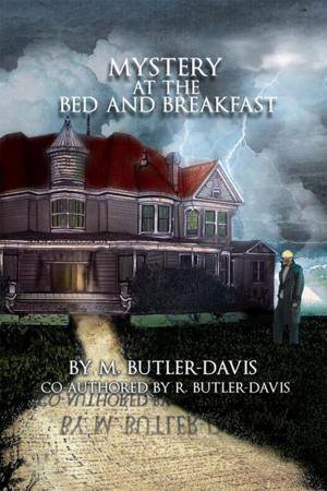 bigCover of the book Mystery at the Bed and Breakfast by 