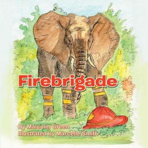 Cover of the book Firebrigade by Dickson M. Mwansa