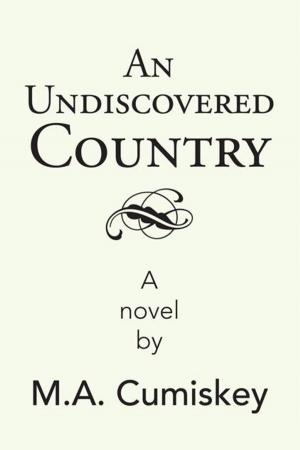Cover of the book An Undiscovered Country by John B. Daniels