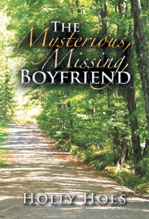 Book cover of The Mysterious, Missing, Boyfriend