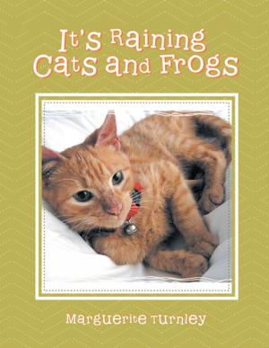 Cover of the book It's Raining Cats and Frogs by Peter R Fitton