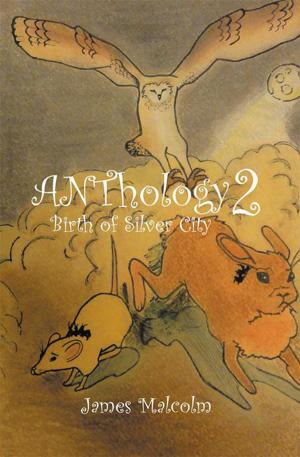 bigCover of the book Anthology 2 Birth of Silver City by 