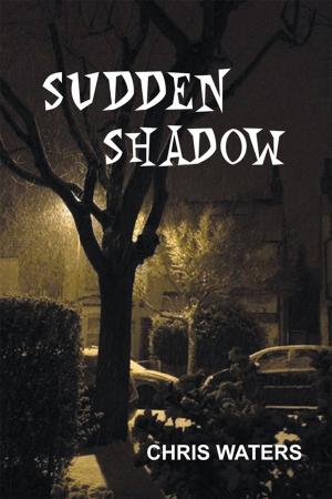 bigCover of the book Sudden Shadow by 