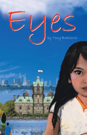 Cover of the book Eyes by Barry Veret