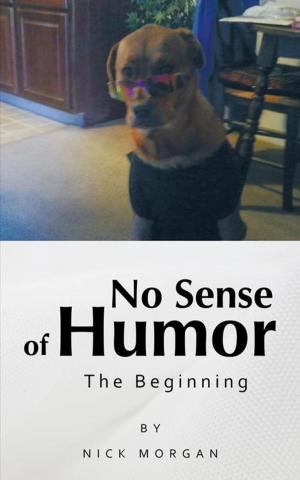 Cover of the book No Sense of Humor by Tia P Meigio