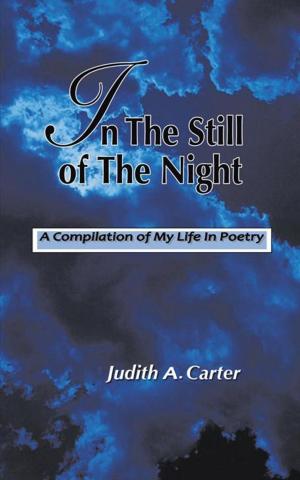Cover of the book In the Still of the Night by Lyric Perez