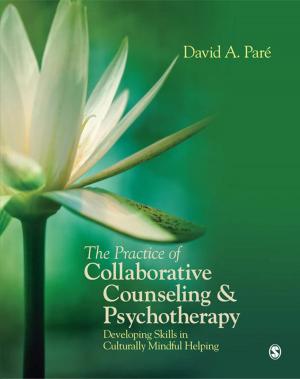 Book cover of The Practice of Collaborative Counseling and Psychotherapy