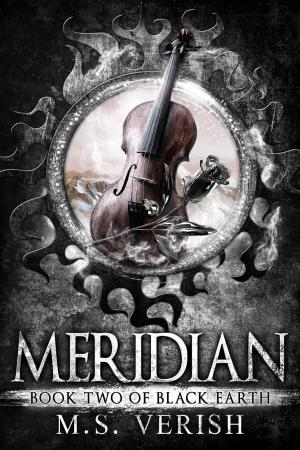 Book cover of Meridian