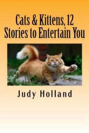 Book cover of Cats & Kittens, 12 Stories to Entertain You!