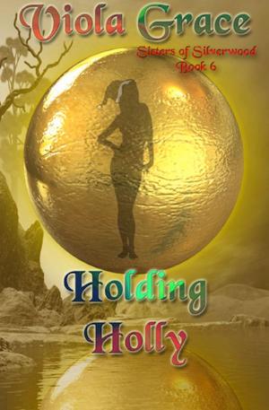 Cover of the book Holding Holly by Lark Westerly