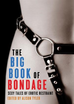 Cover of the book The Big Book of Bondage by Shanna Germain
