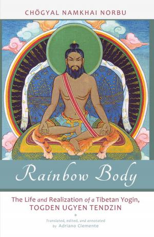 Cover of the book Rainbow Body by Patricia Cori