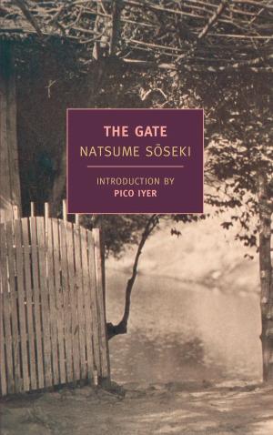 Cover of the book The Gate by Sigizmund Krzhizhanovsky