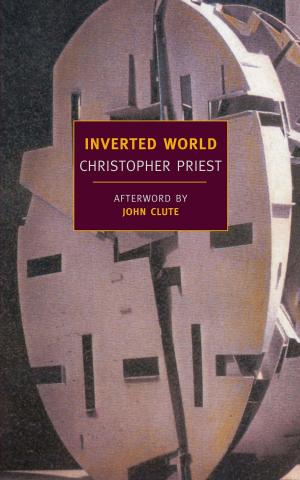 Cover of the book Inverted World by Jacob M. Drake