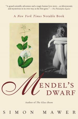 Cover of the book Mendel's Dwarf by Randa Jarrar