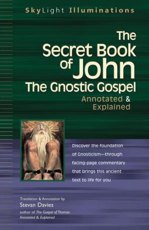 Cover of the book The Secret Book of John by Robert M Fleisher, DMD, Roberta Foss-Morgan, DO