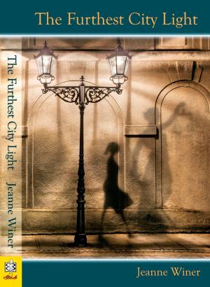 bigCover of the book Furthest City Light by 