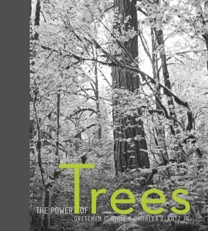 Cover of the book The Power of Trees by Federal Writers' Project