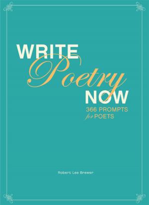 Cover of the book Write Poetry Now by Jim Tolpin