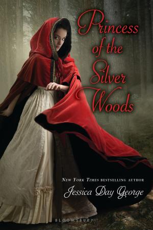 Book cover of Princess of the Silver Woods