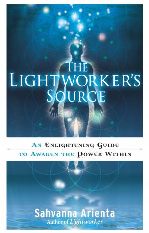 Cover of the book The Lightworker's Source by Galina Krasskova