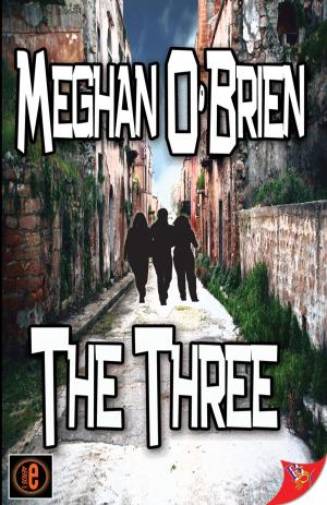 Cover of the book The Three by Barbara Meyers