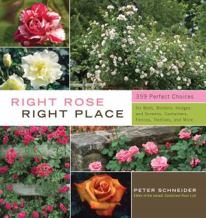 bigCover of the book Right Rose, Right Place by 