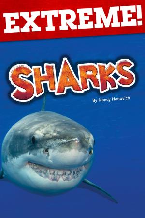 Book cover of Extreme: Sharks