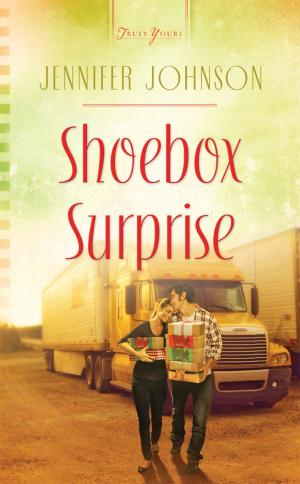 Cover of the book Shoebox Surprise by Cathy Marie Hake, Judith Mccoy Miller, Lynn A. Coleman, Mary Davis, Lena Nelson Dooley, Linda Ford, Linda Goodnight, Kathleen Paul, Janet Spaeth