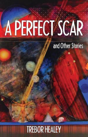 Cover of the book A Perfect Scar and other stories by Stephen Beachy