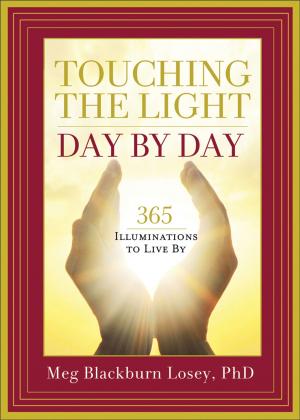 Book cover of Touching the Light, Day by Day